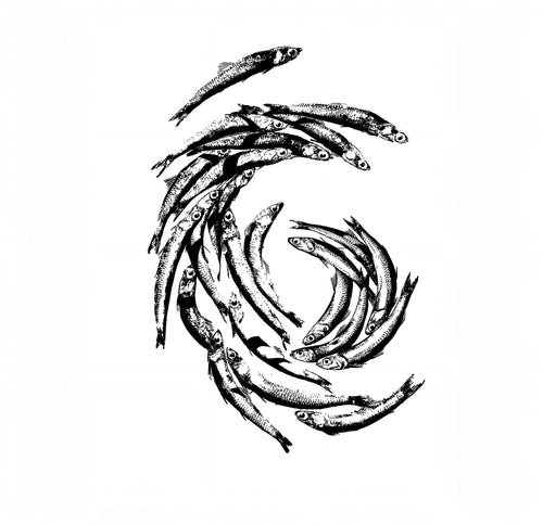 Endless Flow – Sardine Circle Poster